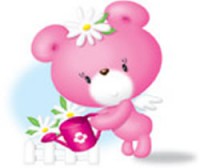 /album/rosa-bear/a377ry-jpg/