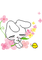 /album/sleeping-co/a6-png1/